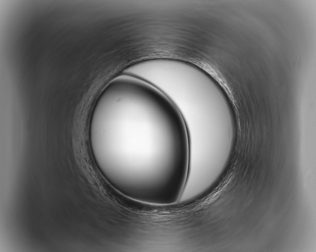 X0000088890481200706080809