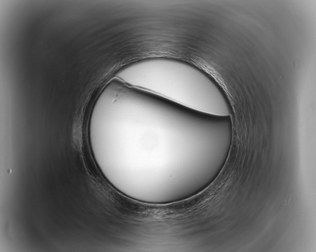X0000088890482200706080809