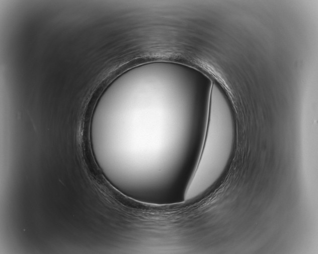 X0000088890483200706080809