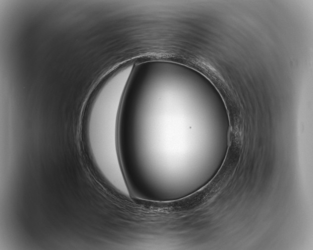 X0000088890484200706080809