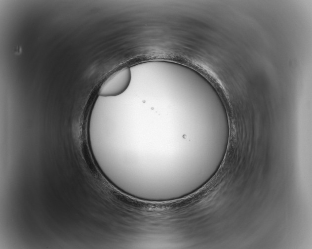 X0000088890487200706080809