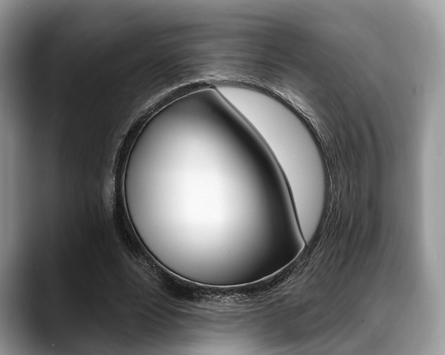 X0000088890488200706080809