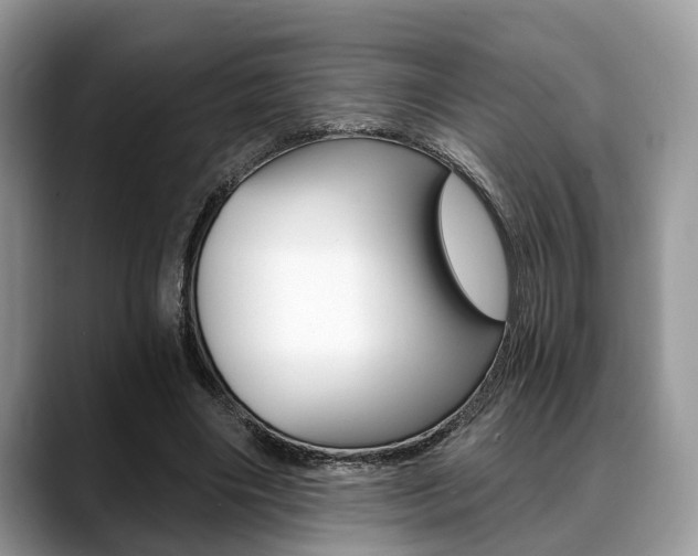 X0000088890490200706080809