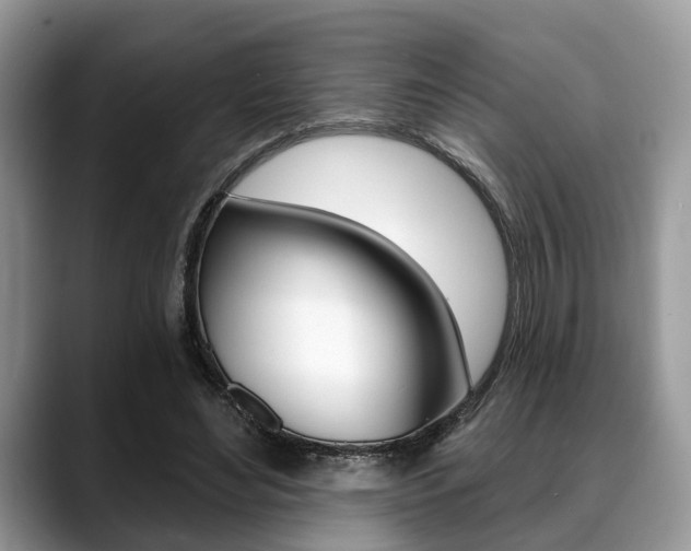 X0000088890492200706080809