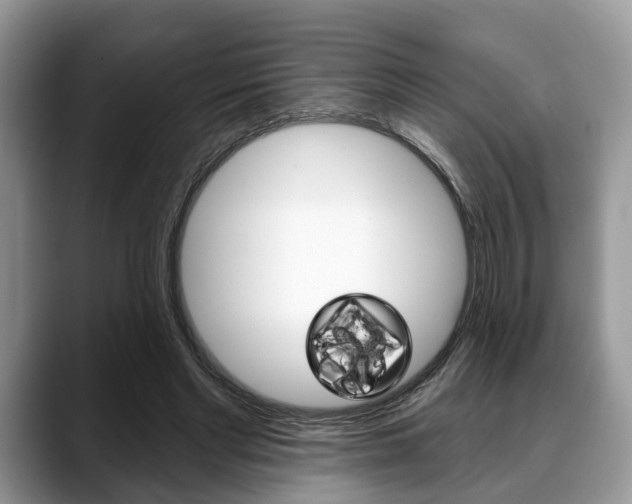 X0000088890493200706080809