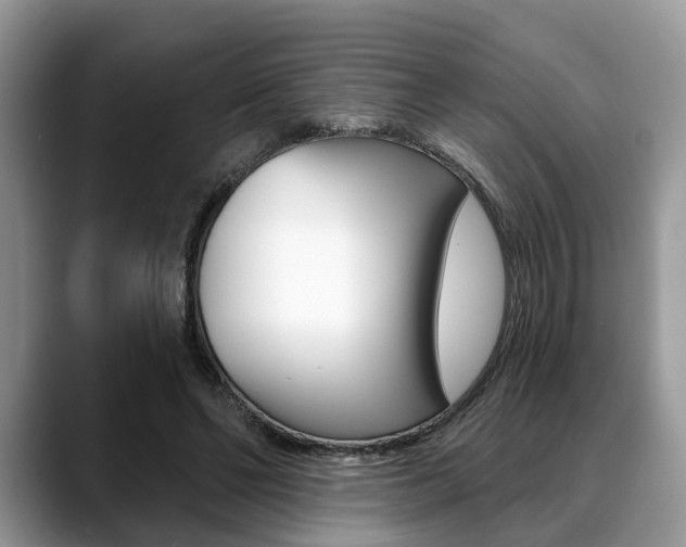 X0000088890494200706080809