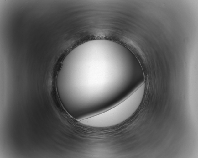 X0000088890496200706080809