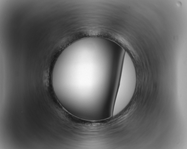 X0000088890497200706080809
