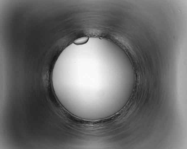 X0000088890498200706080809