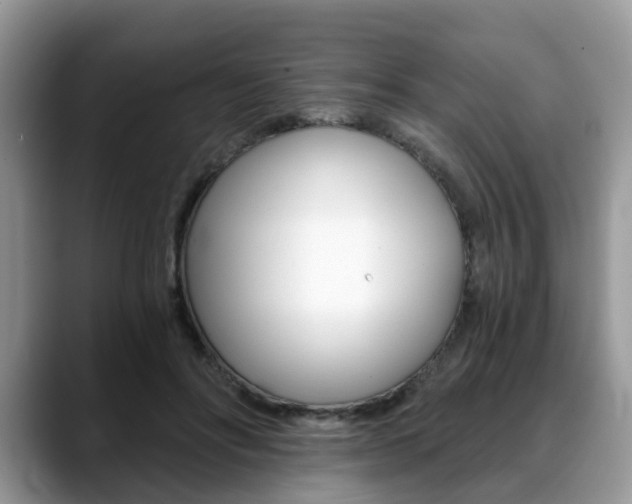 X0000088890502200706080809