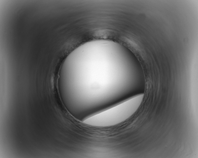 X0000088890504200706080809