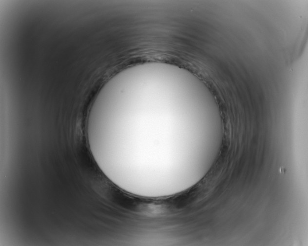 X0000088890506200706080809