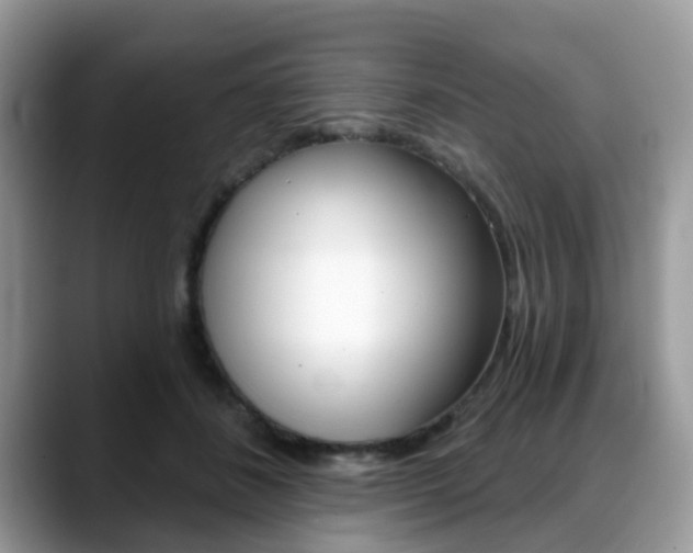 X0000088890508200706080809