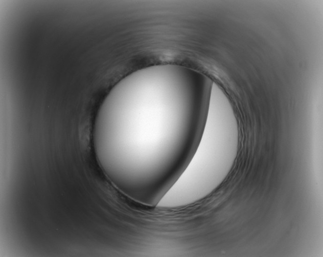X0000088890509200706080809