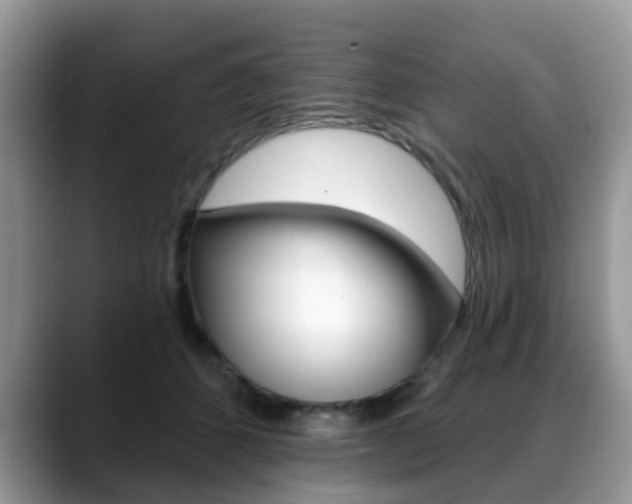 X0000088890512200706080809