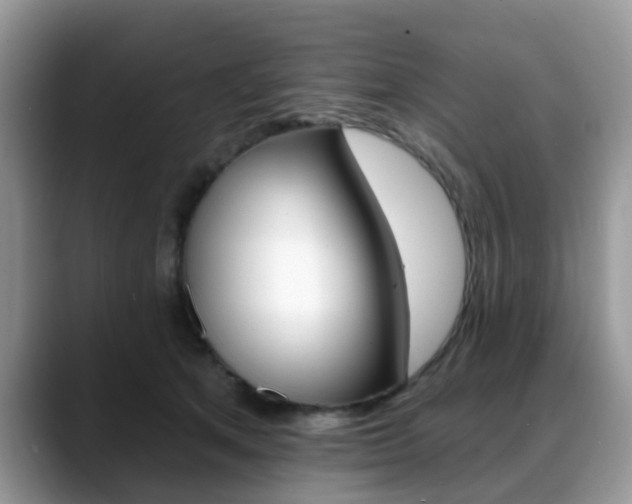 X0000088890513200706080809