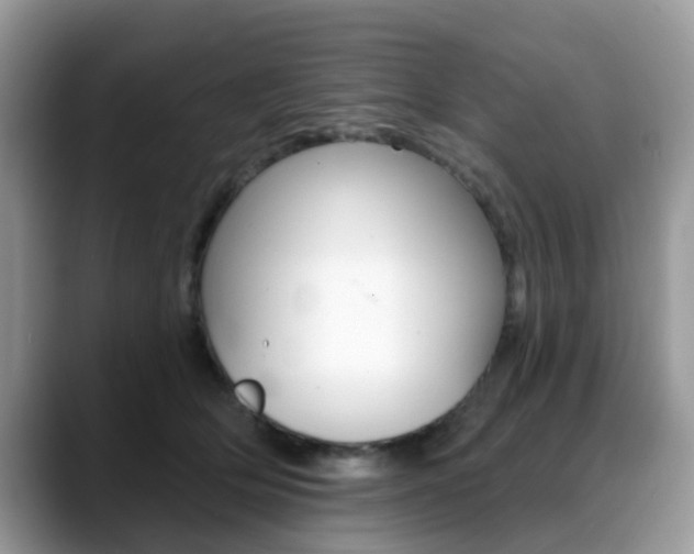 X0000088890514200706080809