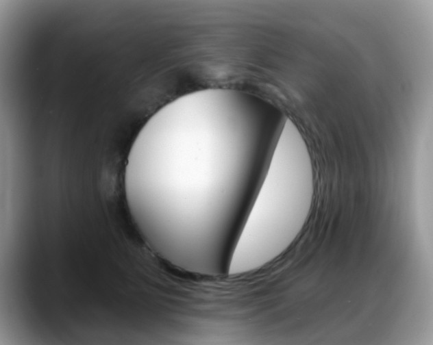 X0000088890515200706080809