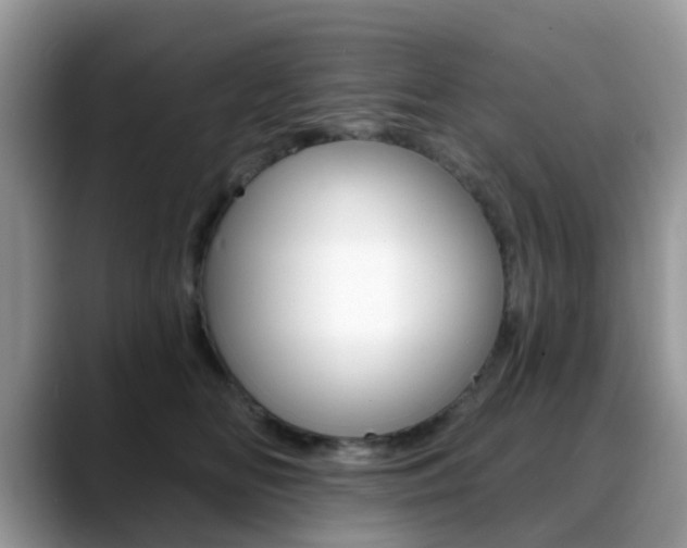 X0000088890518200706080809