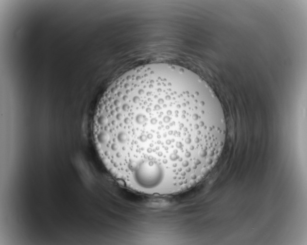 X0000088890519200706080809
