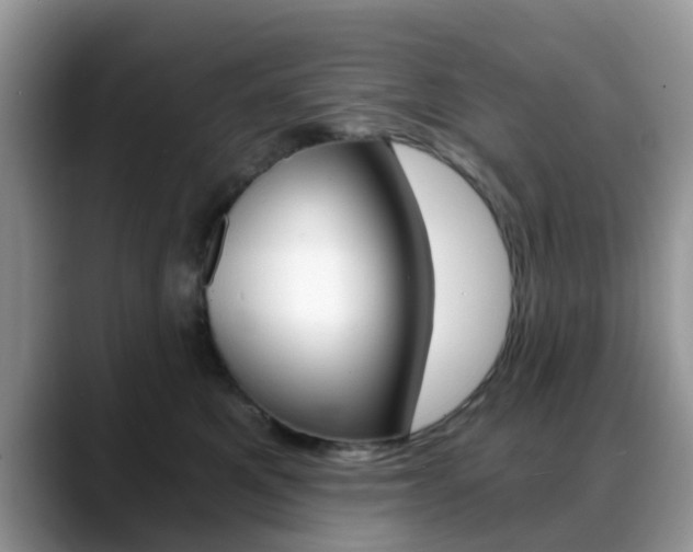X0000088890521200706080809
