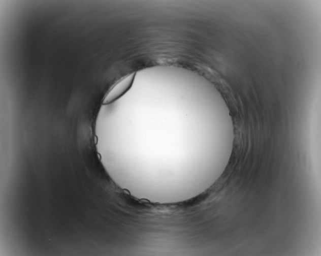 X0000088890523200706080809