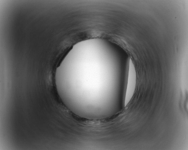 X0000088890524200706080809