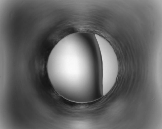 X0000088890525200706080809