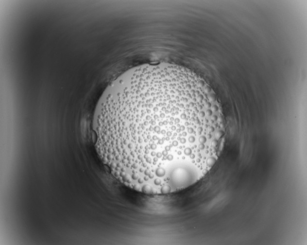 X0000088890527200706080809