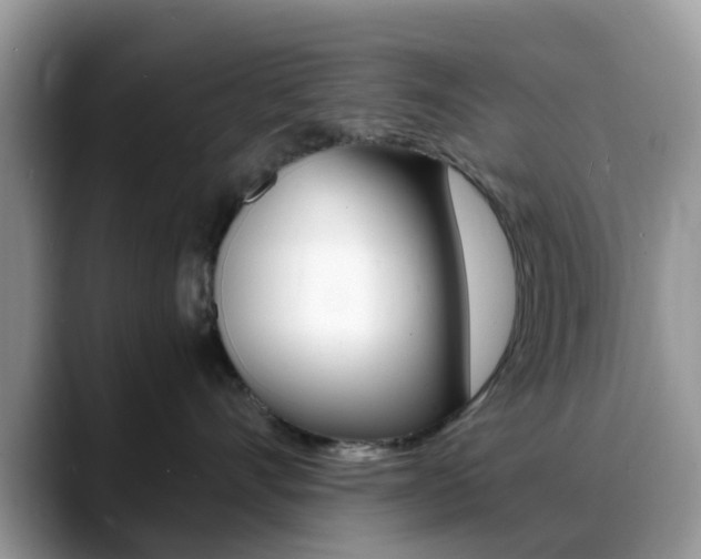 X0000088890528200706080809