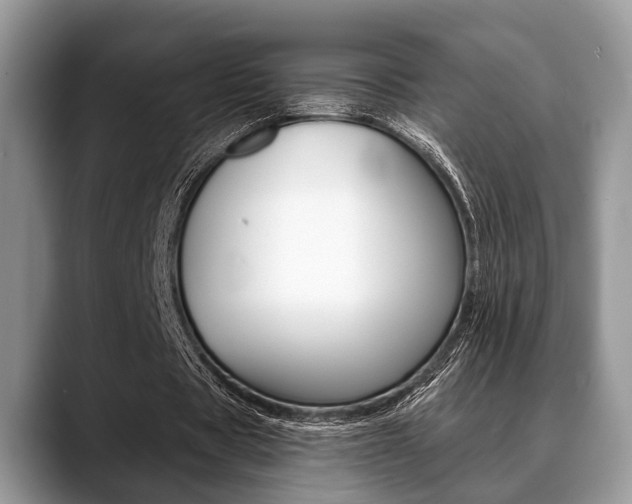 X0000088890529200706080808