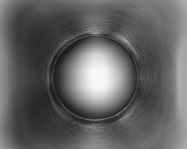 X0000088890530200706080808