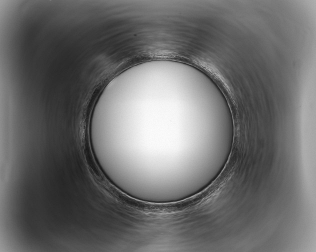 X0000088890533200706080808