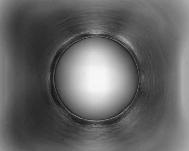 X0000088890535200706080808