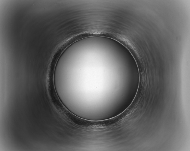 X0000088890536200706080808