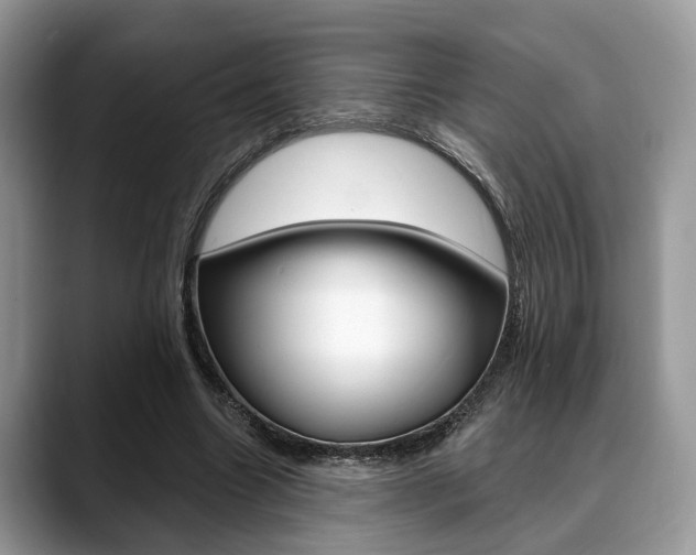 X0000088890538200706080808