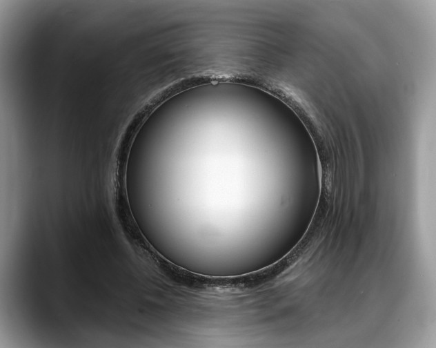 X0000088890540200706080808