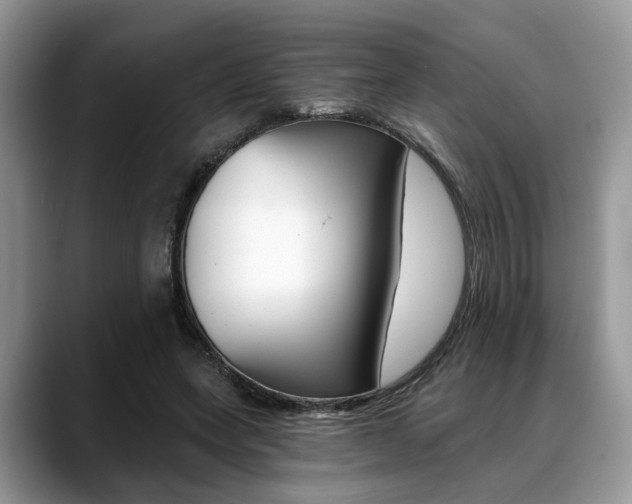 X0000088890543200706080808