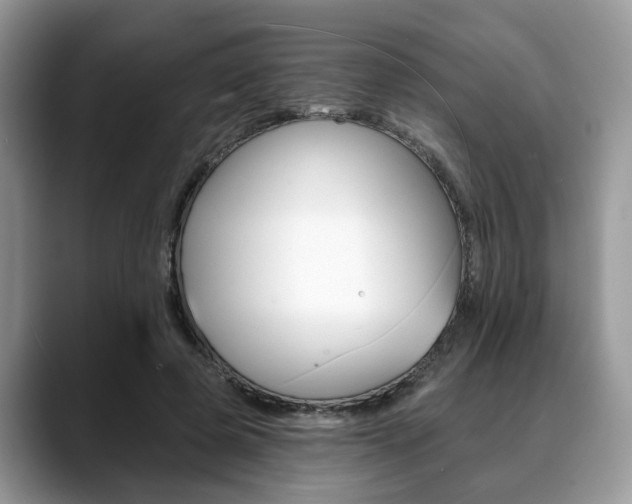 X0000088890545200706080808