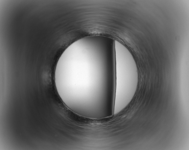 X0000088890547200706080808