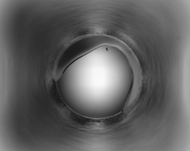 X0000088890552200706080808