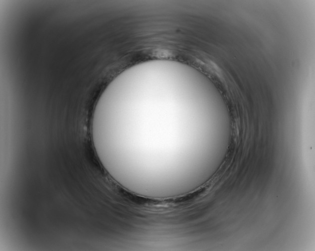 X0000088890553200706080809