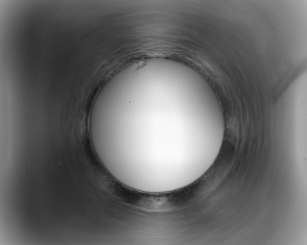 X0000088890554200706080809
