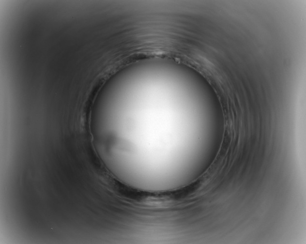 X0000088890556200706080809
