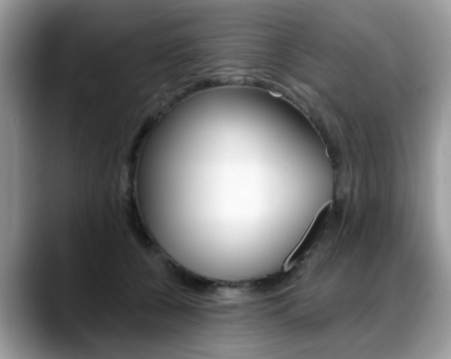 X0000088890560200706080809