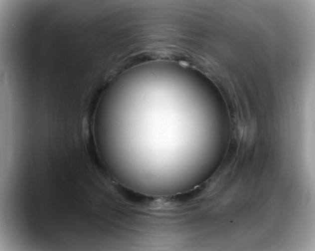 X0000088890562200706080809