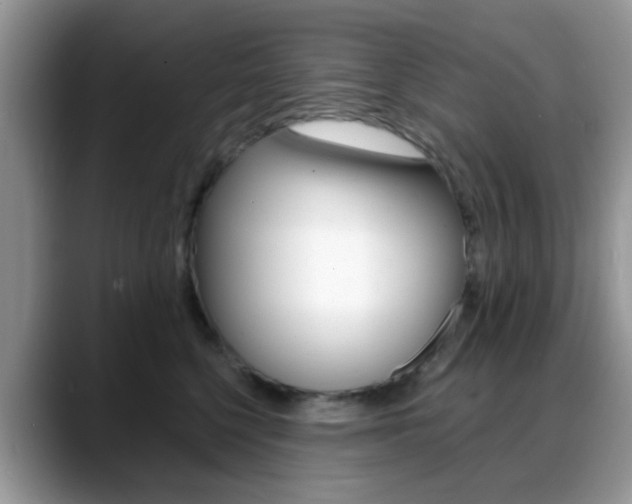 X0000088890568200706080809