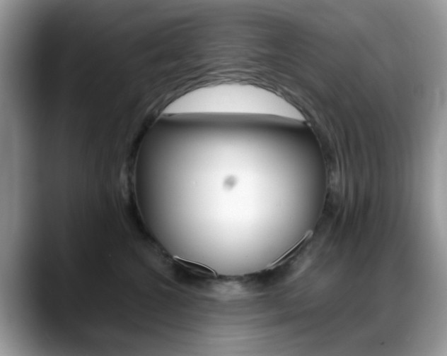 X0000088890572200706080809