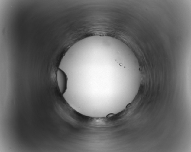 X0000088890573200706080809