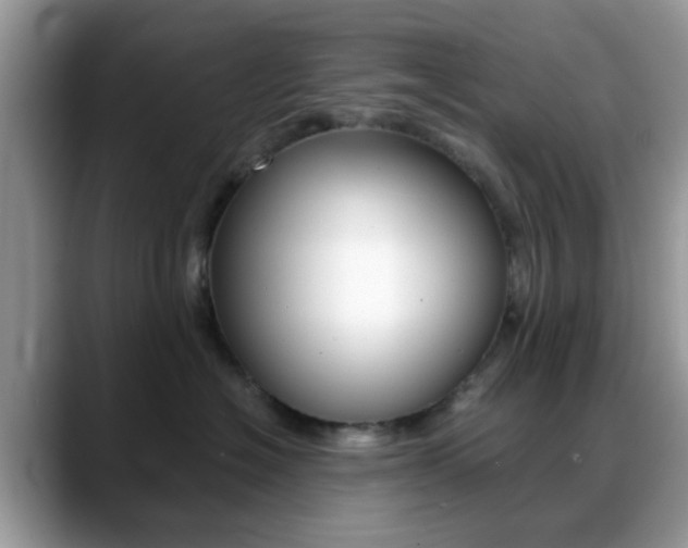 X0000088890574200706080809
